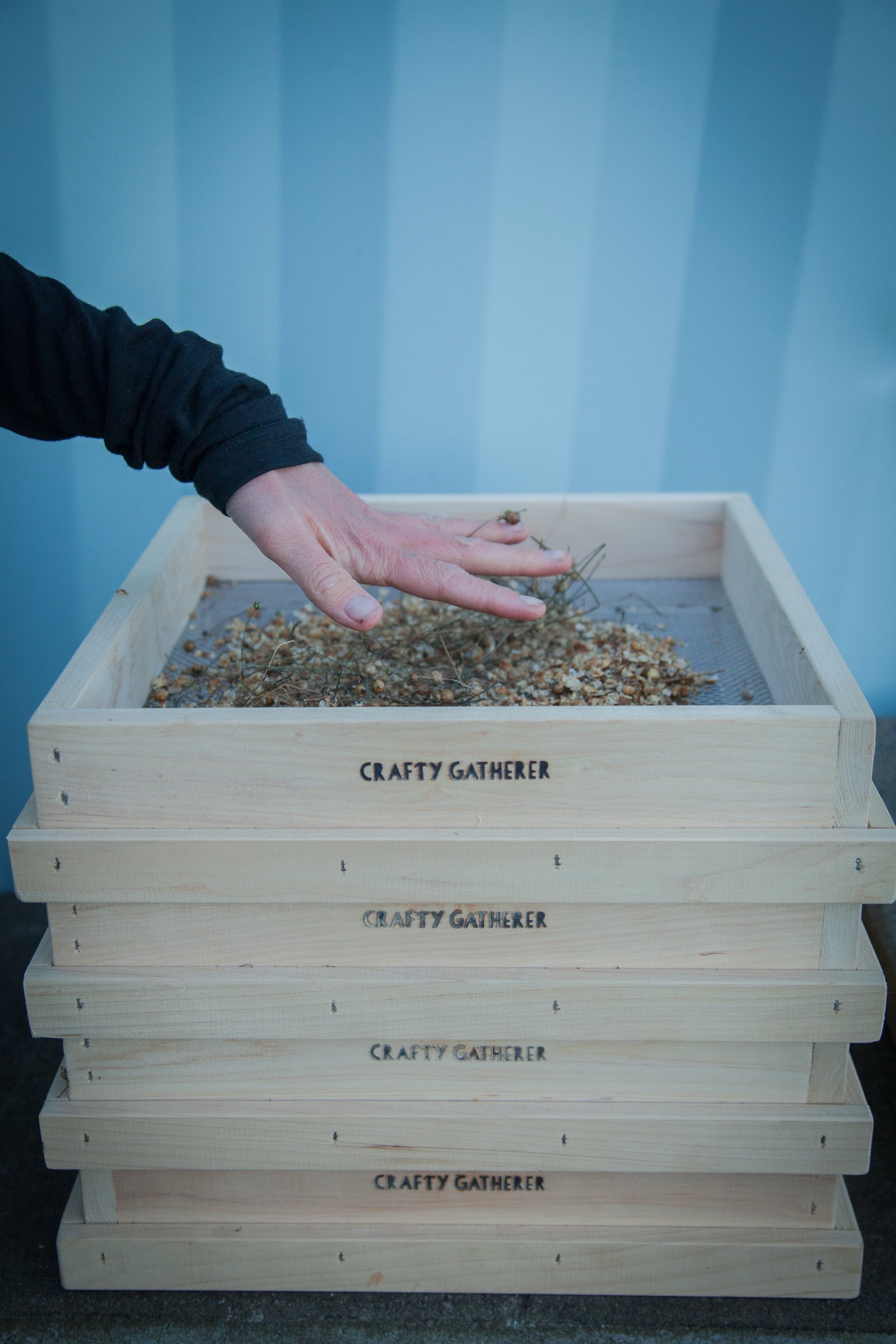 Saving Seeds: A Skill Worth Cultivating