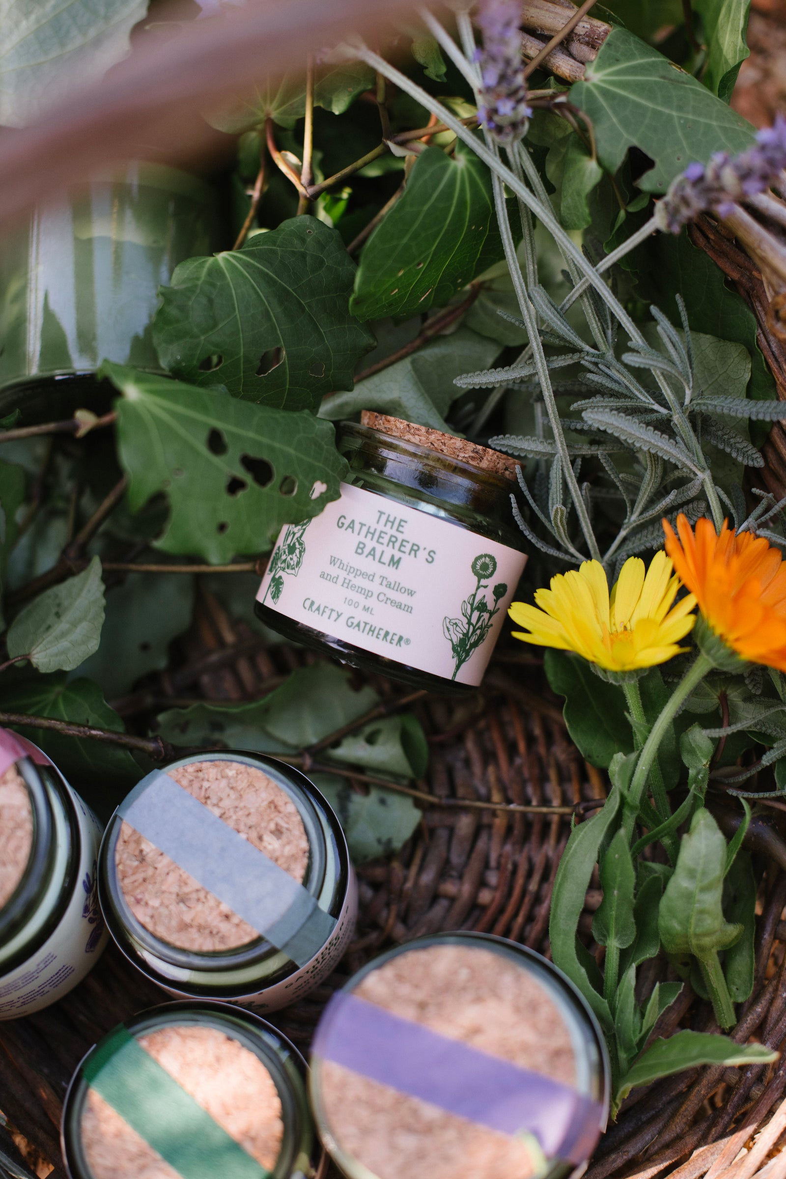 The Gatherer's Balm - Whipped tallow and hemp cream