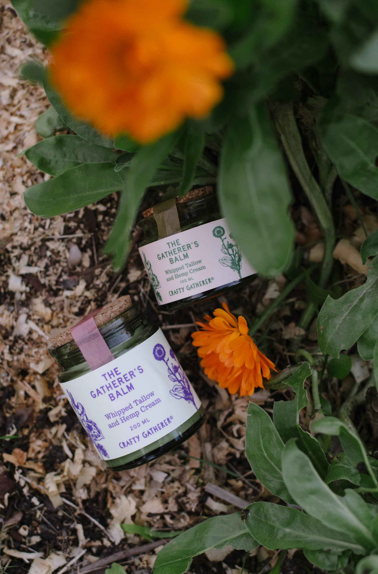 The Gatherer's Balm - Whipped tallow and hemp cream