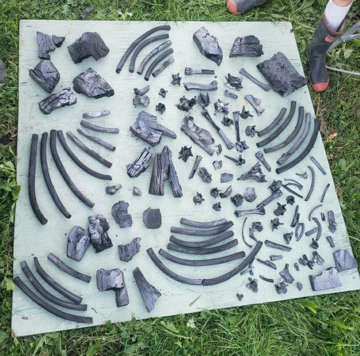 Biochar Burner