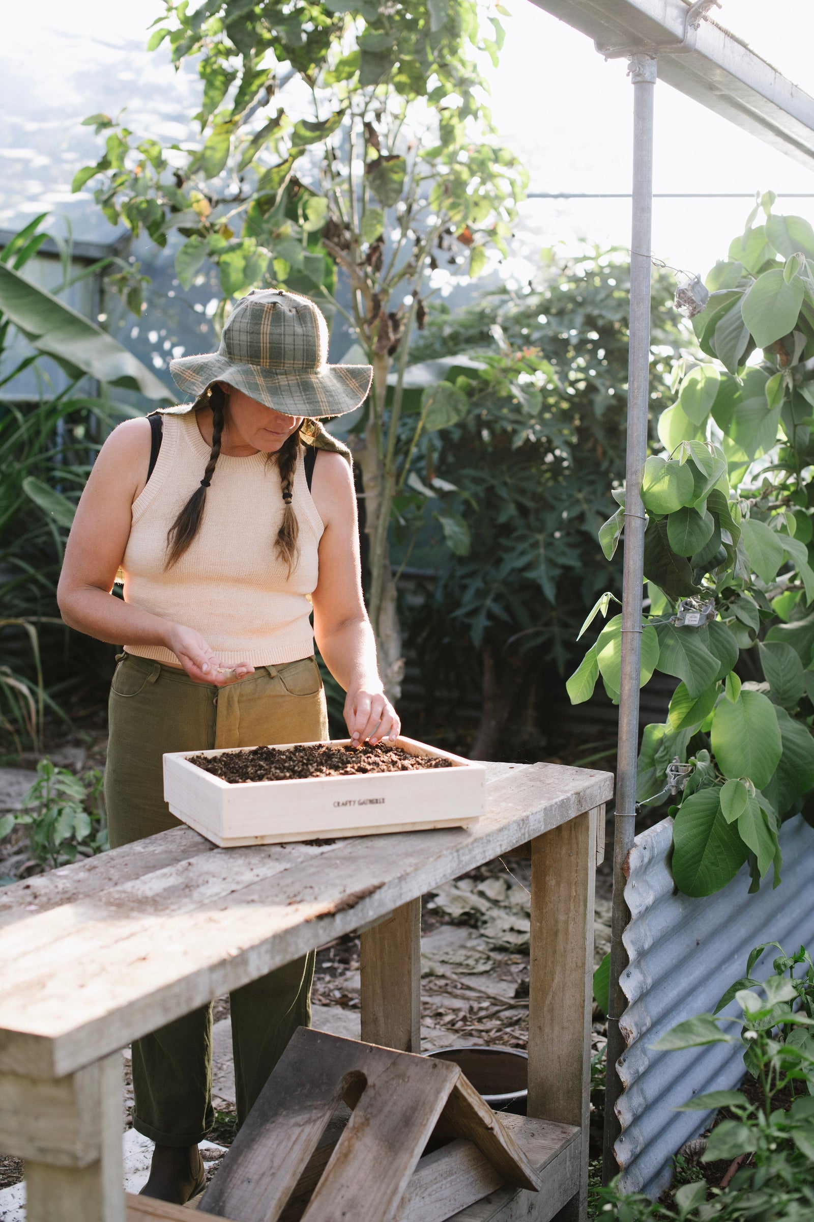 Seed Raising Tray with seeds