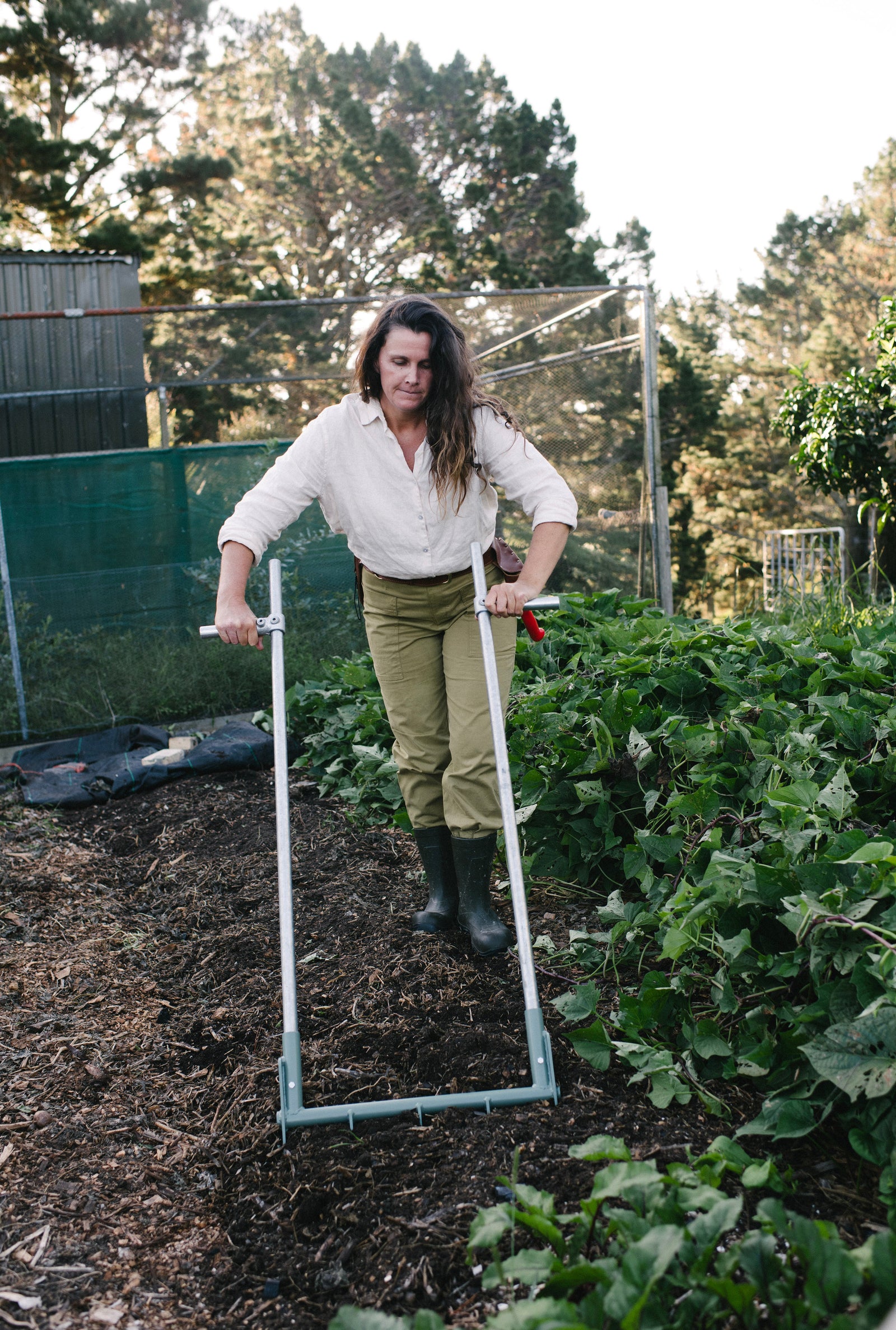 Why We Aerate Our Soil: A Deep Dive into Soil Health