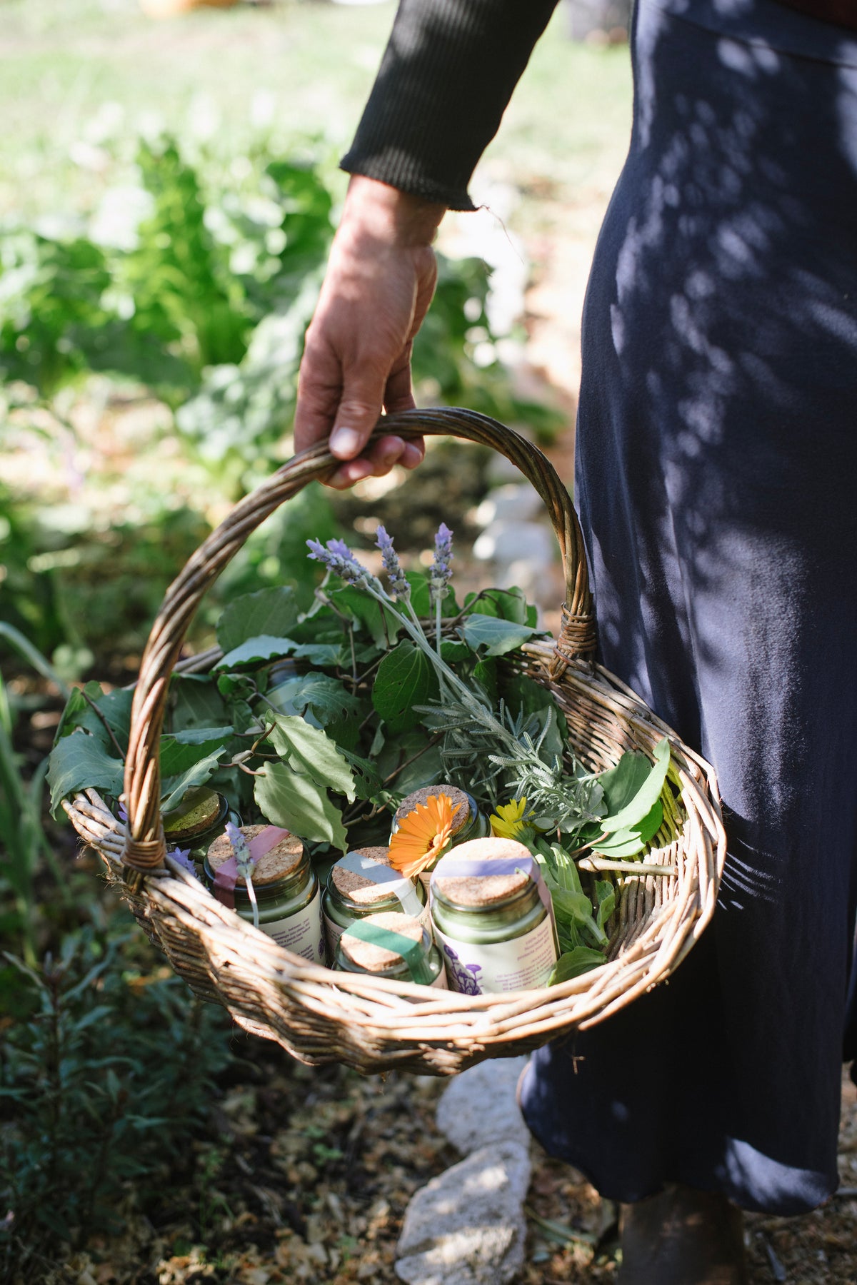 The Gatherer's Balm - Whipped tallow and hemp cream
