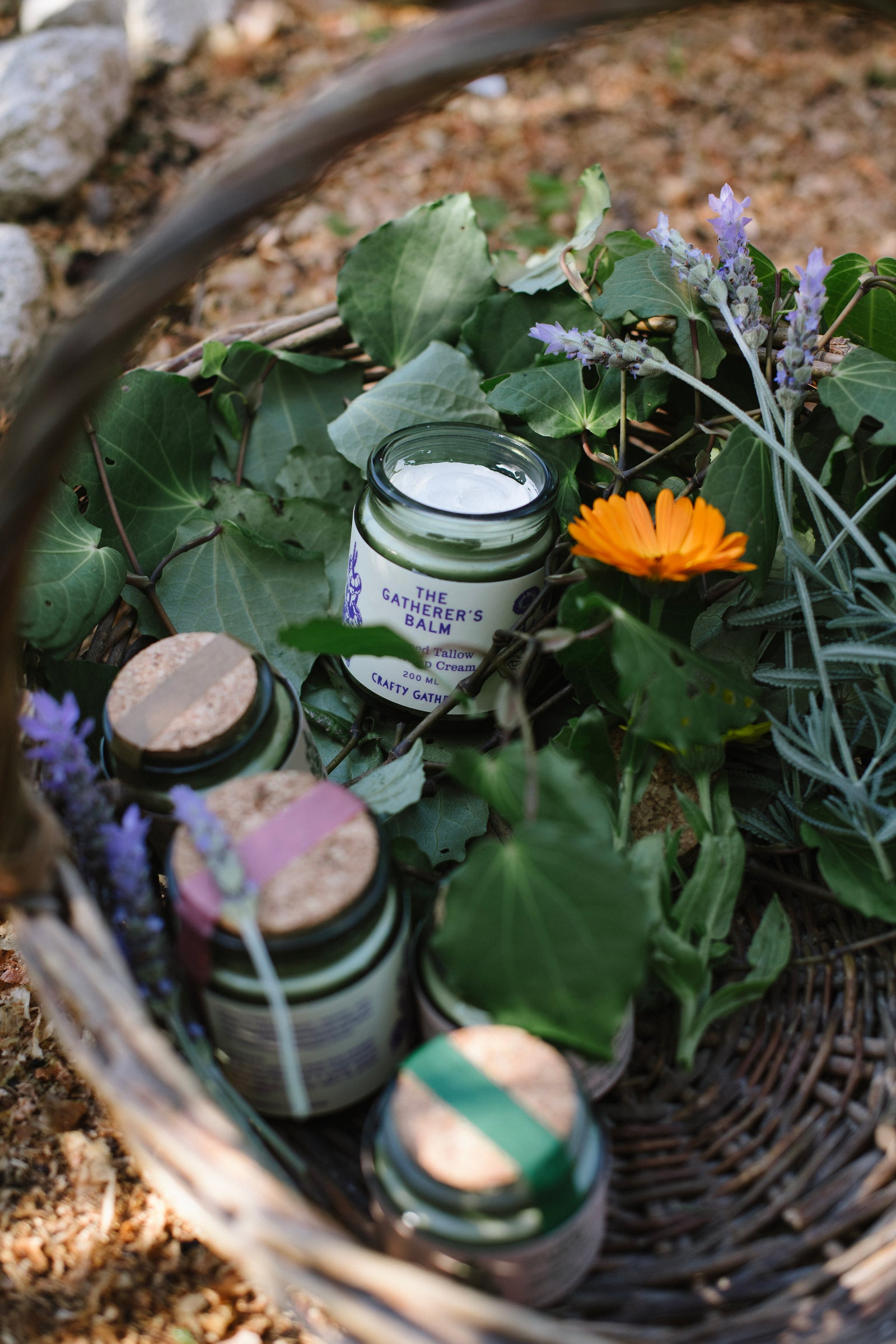 The Gatherer's Balm - Whipped tallow and hemp cream