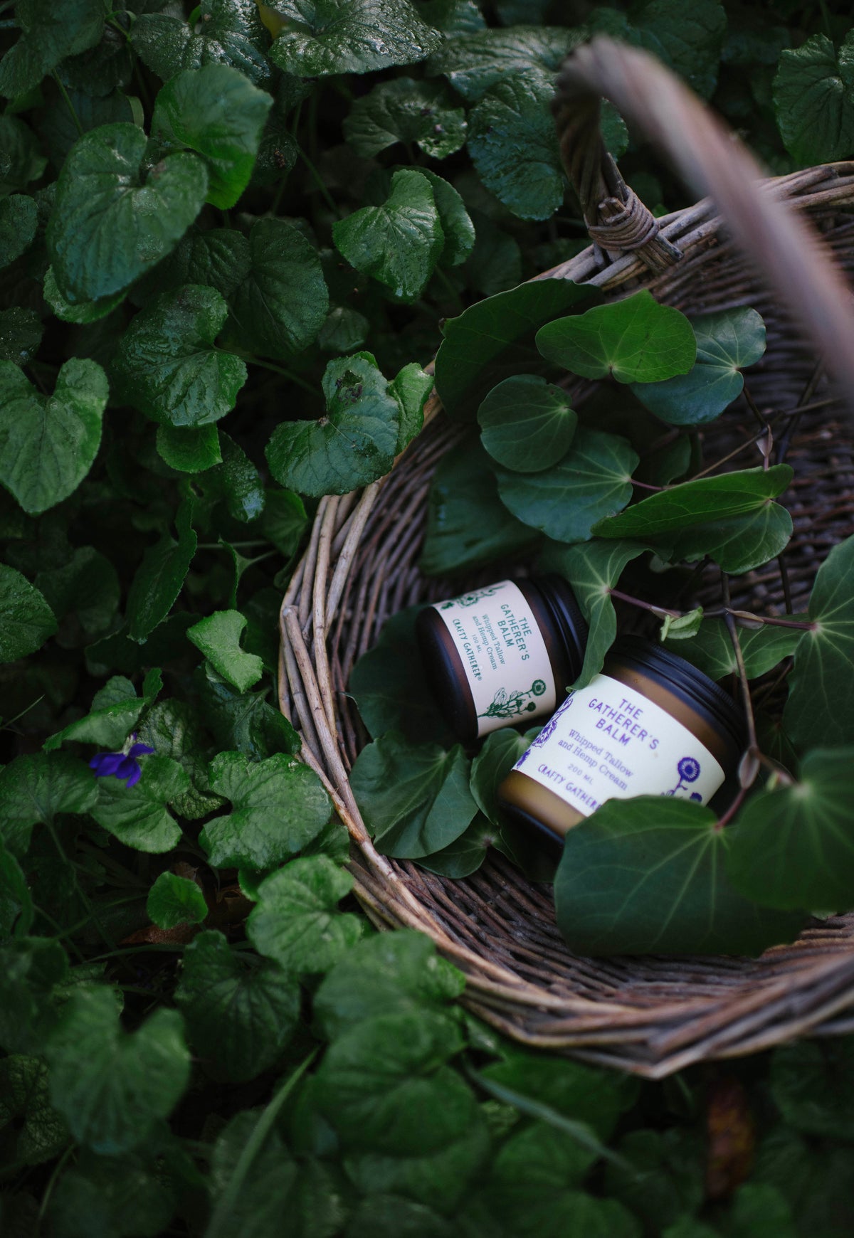 The Gatherer's Balm - Whipped tallow and hemp cream