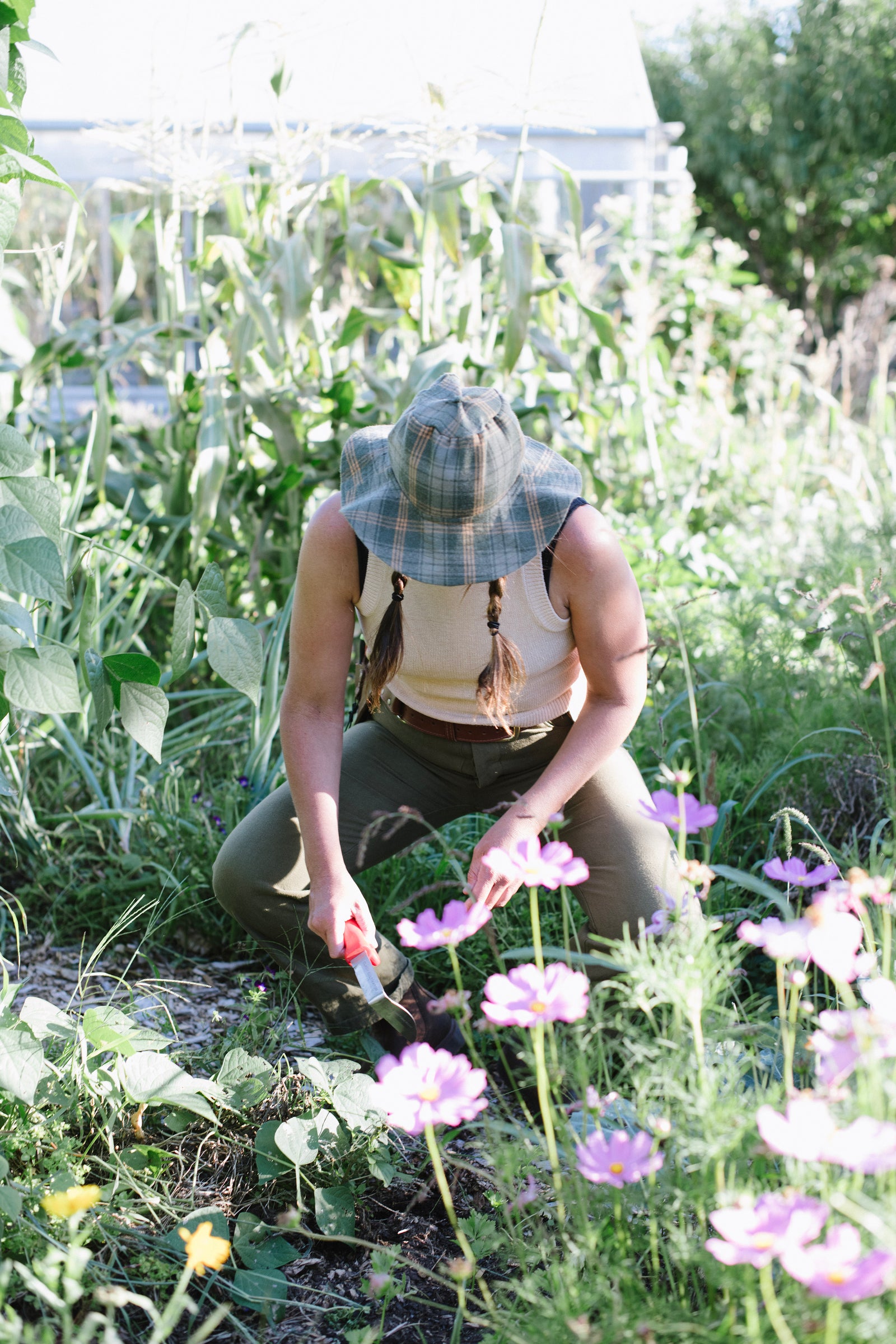 Clark Cultivator | weeding tool