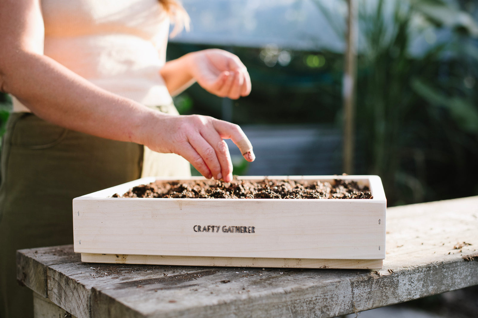 Seed Tray Trio