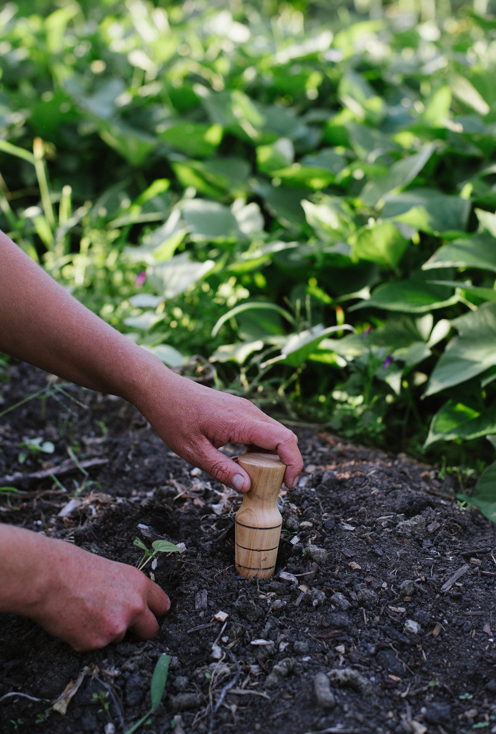 The Garden Belt Essentials bundle