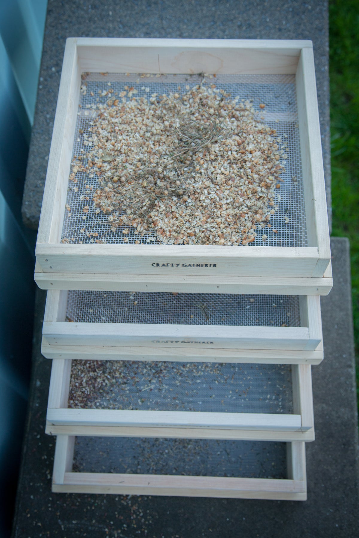 Seeds being sorted through seed saving screens