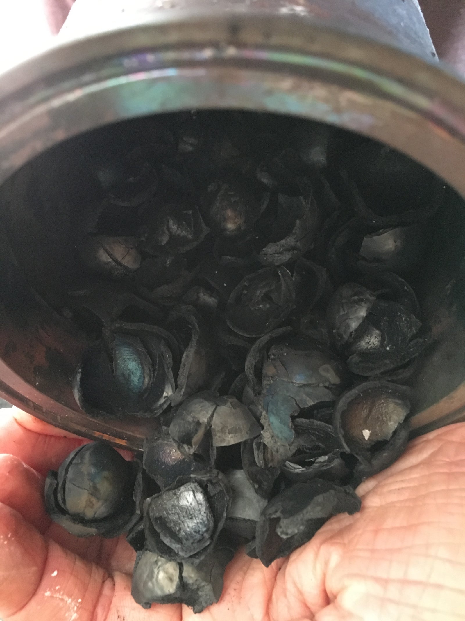 Biochar Burner